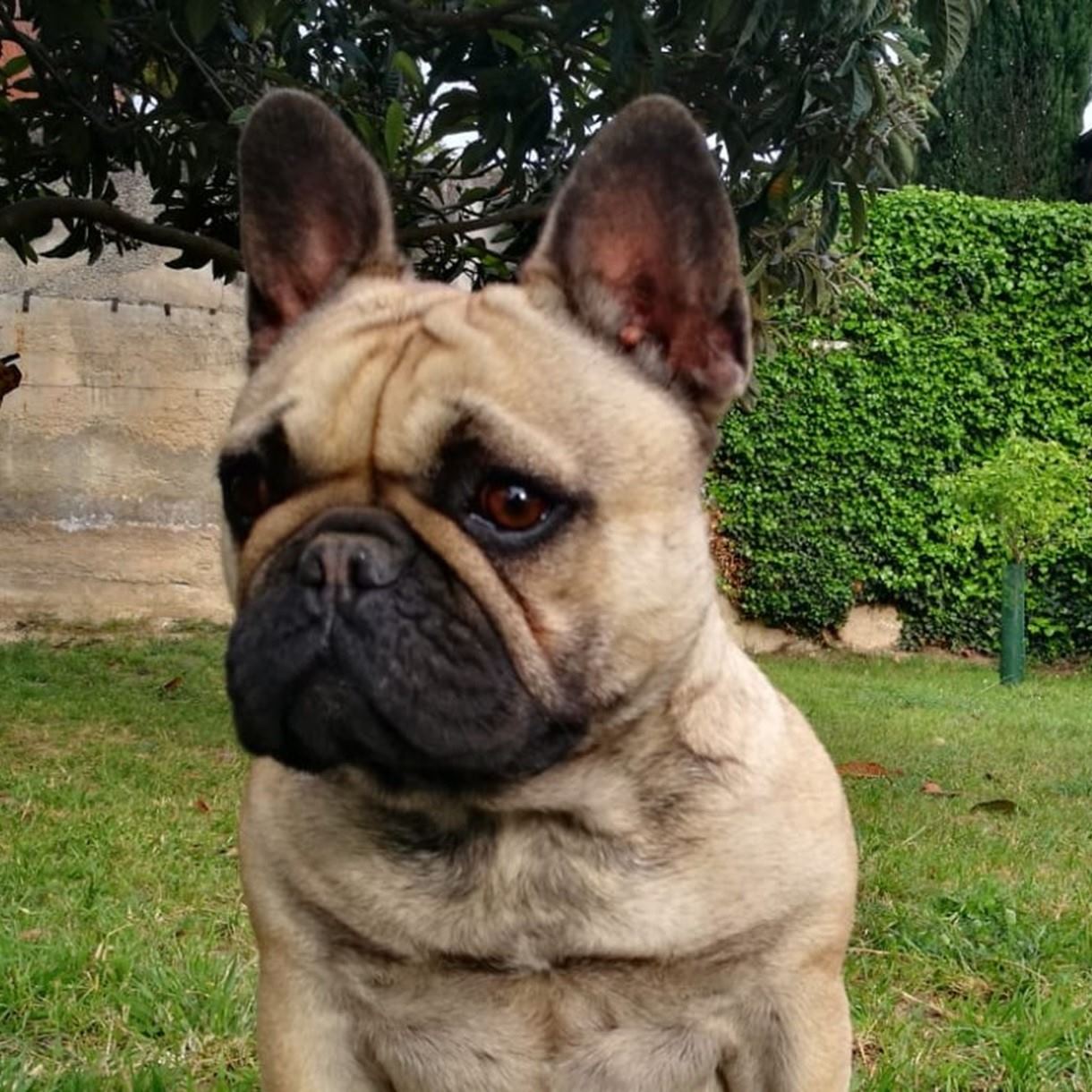 rita